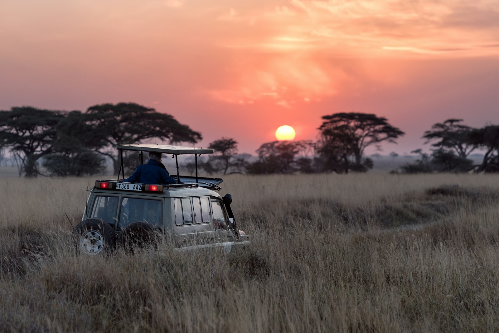 safari en Namibie