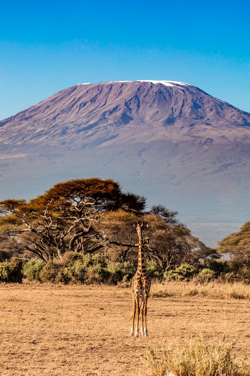 kilimandjaro ascension