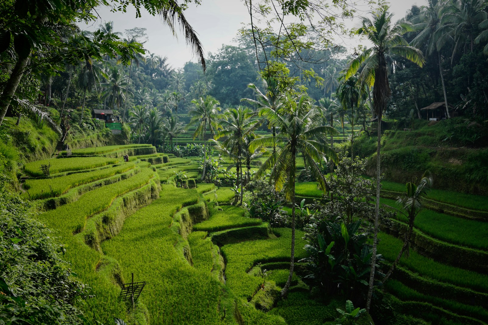 sejour bien être à Bali