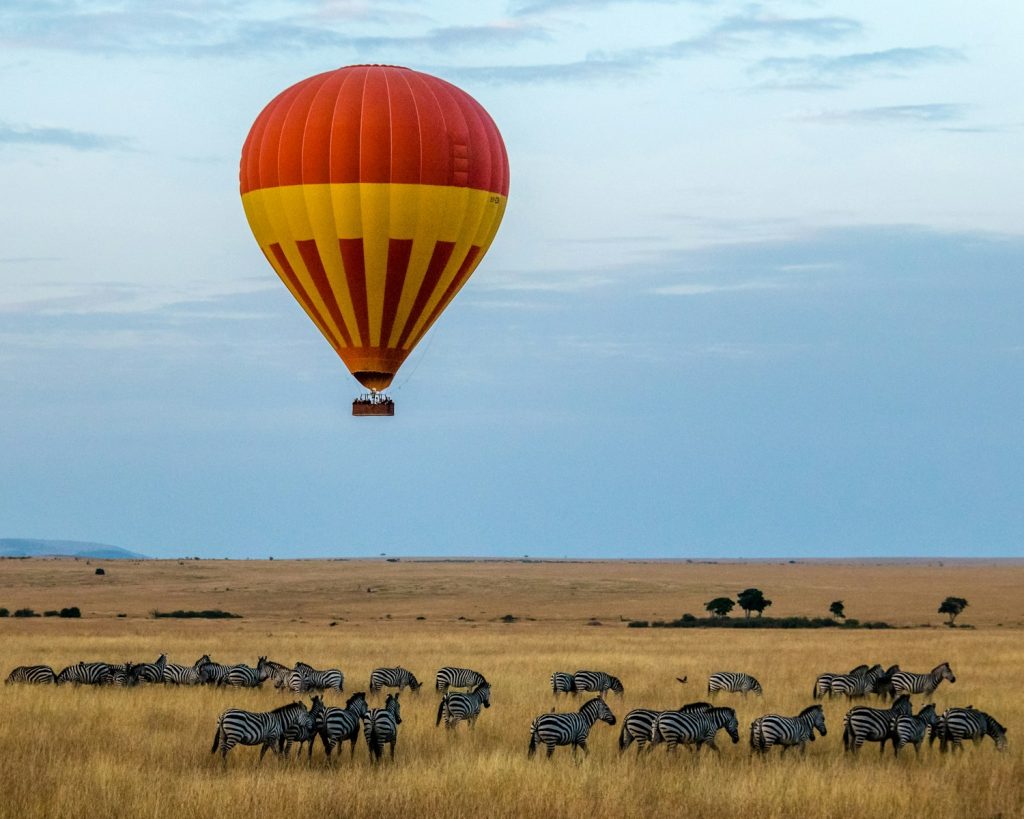 les safaris au Kenya