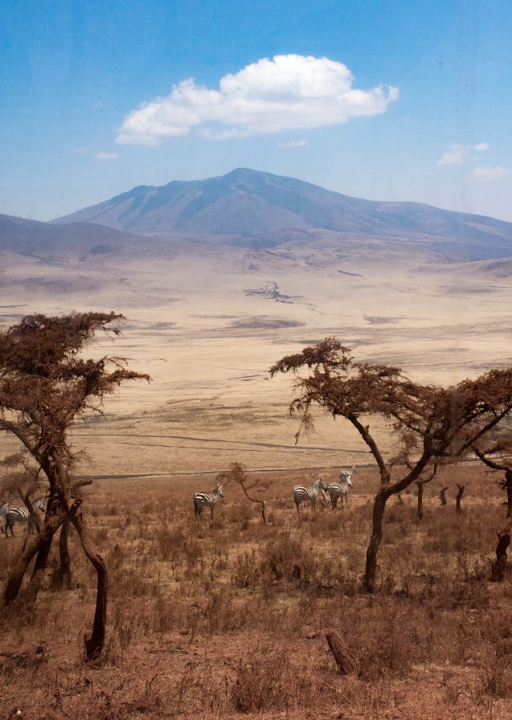 Tanzanie et safari Ngorongoro et Serengeti